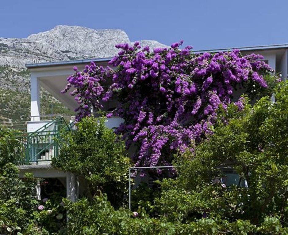 House Marta Baška Voda Exterior foto
